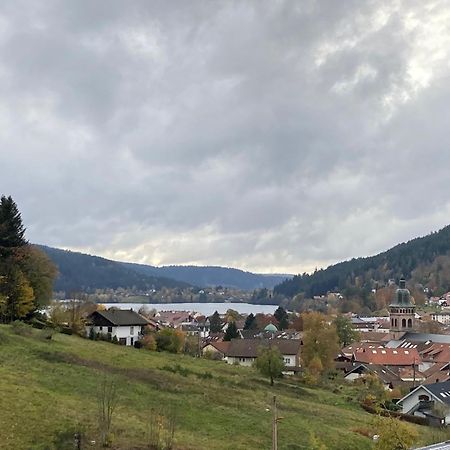 Entre Lac Et Pistes De Ski Gérardmer Kültér fotó