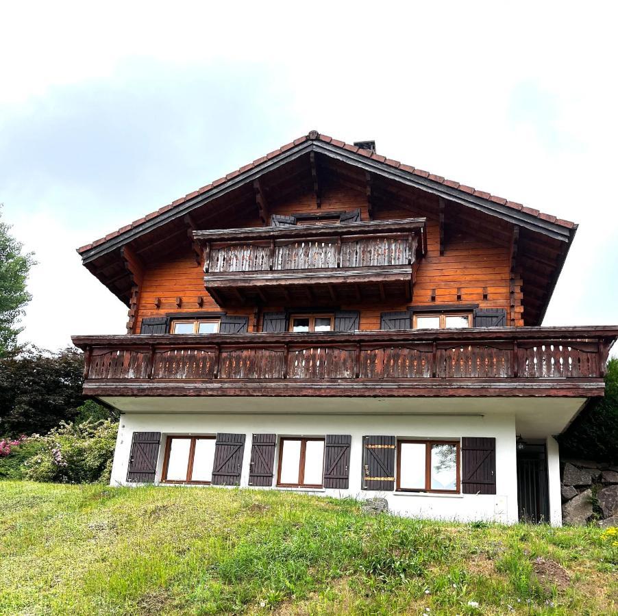 Entre Lac Et Pistes De Ski Gérardmer Kültér fotó